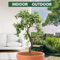 greentex® Kokosscheibe Ø 45cm