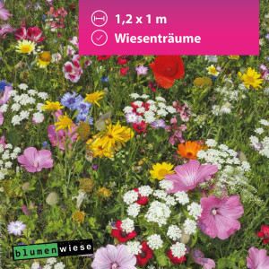 Easygreen Wiesenträume Patch 1,2m²  – bunt duftende Wildblumen