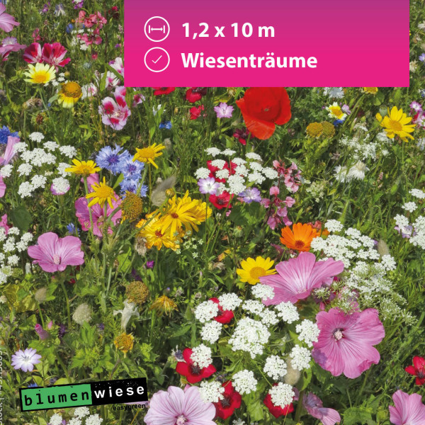 Easygreen Wiesenträume 12m² - bunt duftende Wildblumen