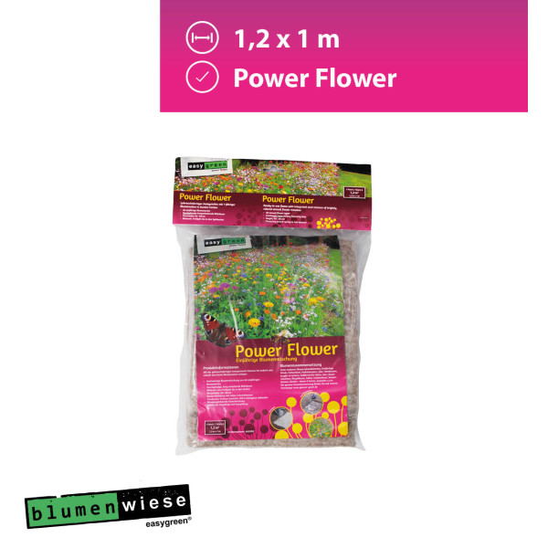 Easygreen Power Flower Patch 1,2m²  &ndash; Einjährige Blumenwiese