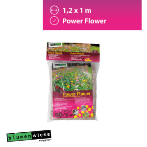 Easygreen Power Flower Patch 1,2m²  &ndash; Einjährige...
