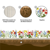 Easygreen Power Flower Patch 1,2m²  – Einjährige Blumenwiese