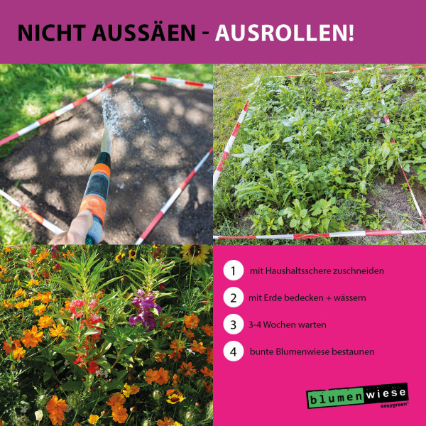 Easygreen Blumenpracht Patch 1,2m² &ndash; Blumenwiese für alle Lagen