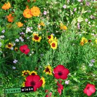 easygreen® Blumenpracht Patch 1,2m²