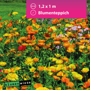 Easygreen Blumenteppich Patch 1,2m² – Niedrige Blumenwiese