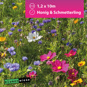 Easygreen Honig & Schmetterling - reine Blumenwiese 12m²