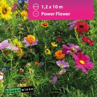 easygreen® Power Flower 12m²