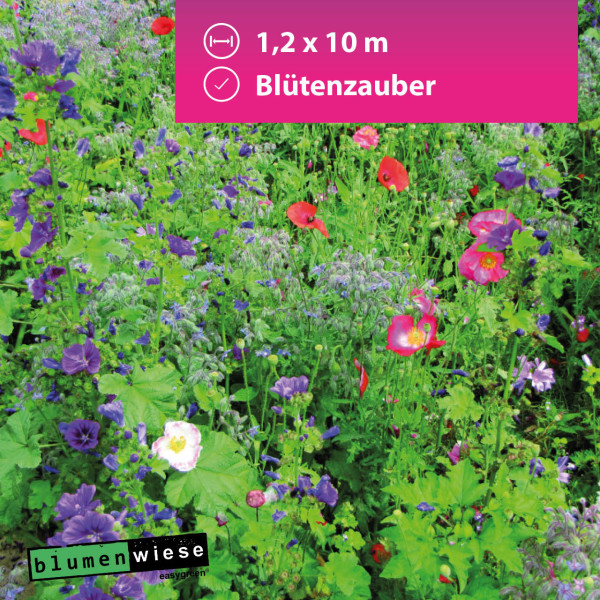 Easygreen Blütenzauber 12m² &ndash; Schattenblumenwiese