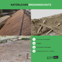 GLAESER greentex Jutegewebe 500gr/m² | Ufermatte aus 100% Jute | 1,20 x 10,00 m (B x L) Böschungsmatte/Erosionsschutzmatte